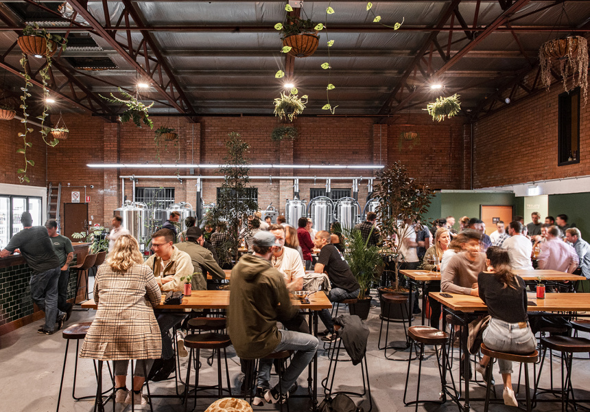 Mixtape Brewing & Bar