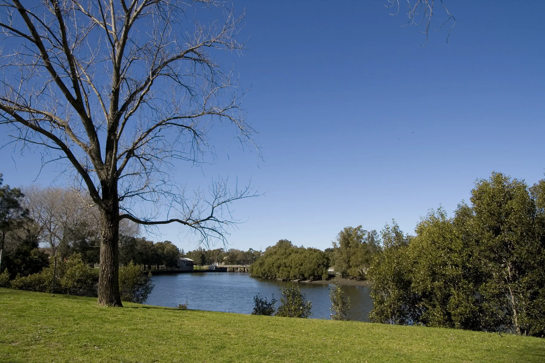 Steel Park & Cooks River Cycleway
